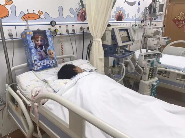 3 người ngộ độc, một bé gái đang nguy kịch vì món ăn tuy bổ nhưng để lâu hóa độc