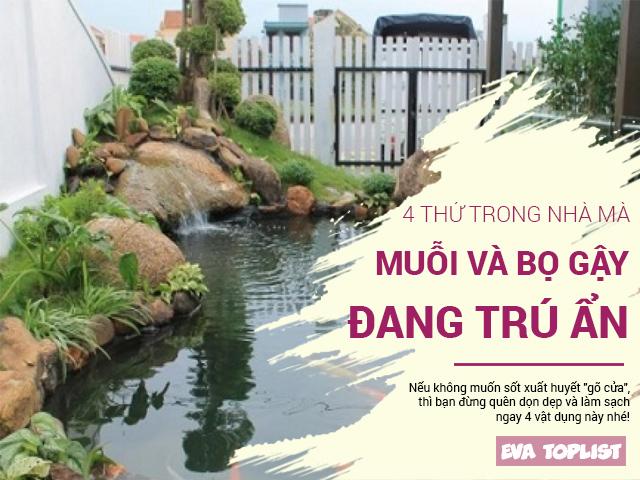 Soi ngay những ngôi nhà của muỗi để tránh sốt xuất huyết cho cả gia đình