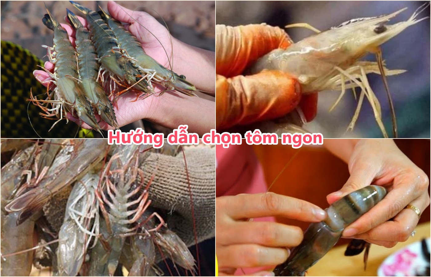 Cách làm tôm nướng muối ớt bằng than hoa, chảo, lò nướng ngon xuất sắc