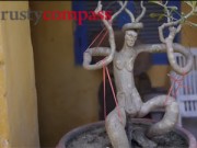 Nhà đẹp - Vườn Bonsai nhỏ xinh ở nhà cổ Hội An 300 năm