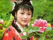 Làng sao - Gian nan quá trình tuyển mỹ nhân cho Hồng Lâu Mộng