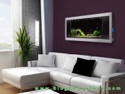 Nhà đẹp - 6 mẹo nhỏ giúp gia chủ giàu có trong cho năm Ất Mùi