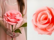 Nhà đẹp - Hoa hồng giấy khổng lồ cho nàng điệu đà ngày Tết