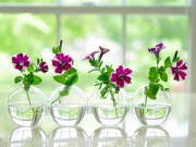 Nhà đẹp - Mẹ Việt trên đất Mỹ chuộng cách cắm hoa tự nhiên