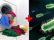 Nhà đẹp - Kinh hoàng vi khuẩn trú ngụ các ngóc ngách trong nhà