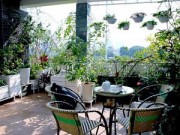 Nhà đẹp - Cải tạo vườn sân thượng trong 3 tuần đẹp mê ly