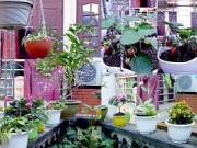 Nhà đẹp - Vườn 20m2 đủ trồng cây, thả cá, nuôi gà ở Hoàn Kiếm