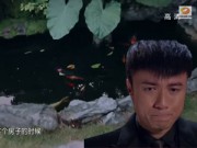 Nhà đẹp - Cổ Cự Cơ rơi nước mắt khi nghĩ về vườn nhà của cha