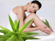 Nhà đẹp - 5 cây thuốc quý dễ trồng trong vườn nhà