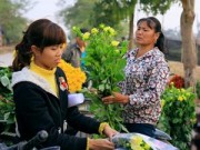 Tin tức - Ngắm phiên chợ độc đáo ở làng hoa Tây Tựu