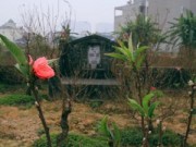 Tin tức - Làng đào nghĩa địa giữa lòng Thủ đô