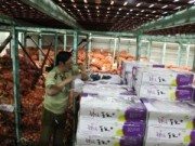 Mua sắm - Giá cả - Lỏng lẻo quản lý trái cây ngoại