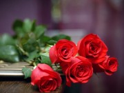 Nhà đẹp - Nên hay không vứt bỏ hồng tình yêu vì phong thủy xấu?