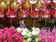 Nhà đẹp - Cây cảnh mang tài lộc may mắn nên mua đón Tết