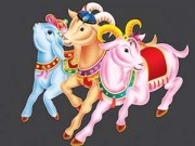 Nhà đẹp - Hóa giải vận hạn cho người gặp năm bản mệnh