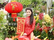 Hậu trường - HH Sương Đặng ấm lòng giữa chợ hoa Tết tại Mỹ