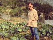 Nhà đẹp - Vườn rau đầu xuân của gia đình Hoàng Thùy Linh