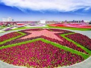 Nhà đẹp - Ngất ngây vườn hoa Dubai diệu kỳ lớn nhất thế giới