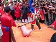 Eva tám - Nhà văn hóa dân gian nói về lễ hội chém lợn và 'điểm ngực'