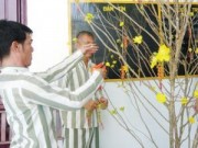 Tin tức - Bị cáo về nhà ăn tết với… bị hại