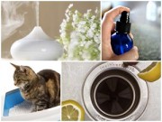 Nhà đẹp - 11 mẹo tự nhiên giữ nhà thơm mát quanh năm