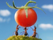 Nhà đẹp - 12 phương pháp diệt kiến tự nhiên