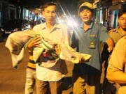 Tin tức - Bé 10 tháng tuổi chết bất thường sau khi bị thương tại điểm giữ trẻ trái phép