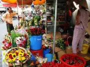 Mua sắm - Giá cả - Hoa dịp 8-3, người bán nhiều hơn người mua