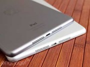 Eva Sành điệu - Apple hoãn sản xuất iPad 12,9 inch sang tháng 9/2015