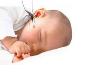 Nhà đẹp - Thuốc chống muỗi an toàn mà hiệu quả tức thì cho bé