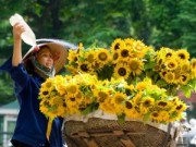 Tin tức - Đầu tuần thời tiết Hà Nội chuyển tốt dần, trời hửng nắng