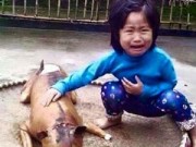 Tin tức - Xúc động với bức ảnh bé gái nức nở bên chú chó bị giết thịt