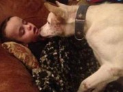 Tin tức - Chú chó thoát chết ở Việt Nam giành giải thưởng quốc tế