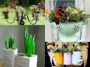 Nhà đẹp - 21 ý tưởng điên rồ biến vườn nhà thành thiên đường