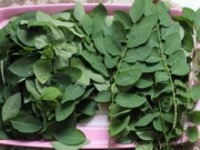 Sức khỏe - Ba tác dụng phụ của rau ngót bạn cần biết