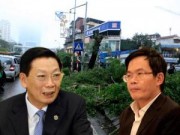 Tin tức - Chặt 6.700 cây xanh: Chủ tịch HN trả lời "thư ngỏ"