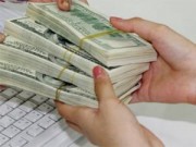 Mua sắm - Giá cả - Giá USD thị trường tự do "tụt dốc"