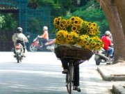 Tin tức - Năm 2015: Nắng nóng xuất hiện sớm nhưng ít gay gắt