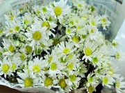 Nhà đẹp - Chọn hoa tảo mộ không phạm cấm kị tâm linh