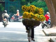Tin tức - Bắc Bộ xuất hiện nắng nóng cục bộ