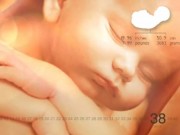 Bà bầu - Video hành trình lớn lên kỳ diệu của thai nhi