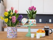 Nhà đẹp - Chị em công sở rộn ràng mua củ giống Tulip, Tiên Ông