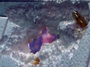 Tin tức - Phát hoảng với thực phẩm chức năng “ăn” thủng xốp