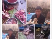 Tin tức - Giết khỉ dã man rồi khoe "chiến tích" trên facebook