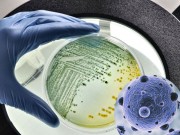 Nhà đẹp - Vệ sinh cặn bám vòi sen dễ dàng và hiệu quả