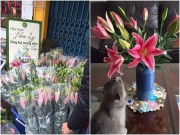 Nhà đẹp - Người dân chung tay giải cứu hoa ly nở sớm trước Tết