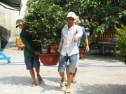 Tin tức - Làng mai nhộn nhịp vào vụ Tết