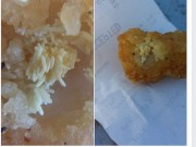 Tin tức - Kinh hãi phát hiện trứng ruồi sau lớp da gà KFC