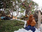 Mua sắm - Giá cả - Độc đáo đào 'hoa quả sơn' giá hàng chục triệu chơi Tết