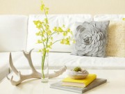 Nhà đẹp - Những sai lầm vệ sinh có thể làm hỏng đồ đạc